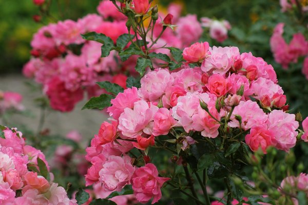 Transform your uk dining area: creative concepts for a cozy and stylish family gathering spot